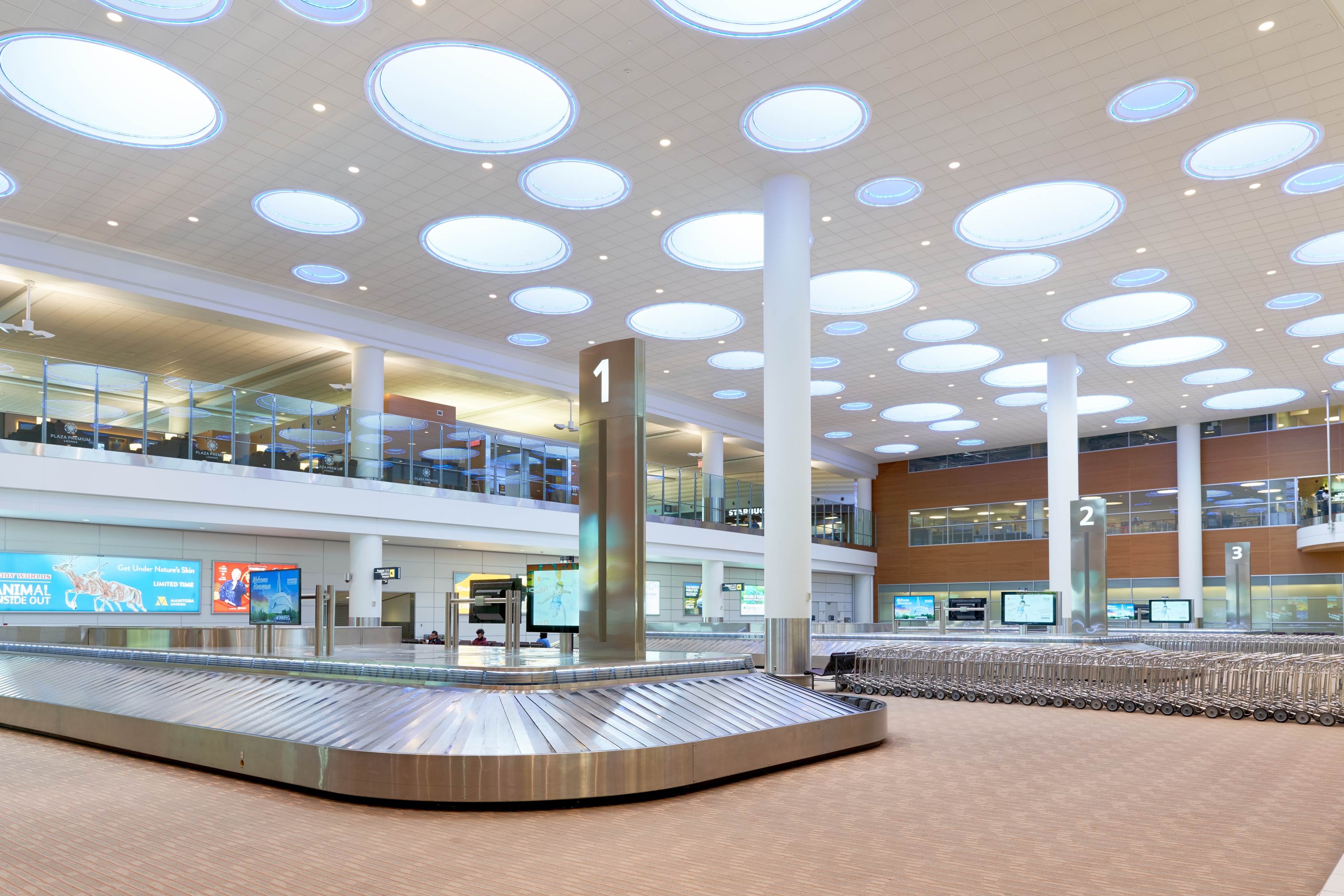 Brightly lit Arrivals Hall with luggage carts and baggage carousels.
