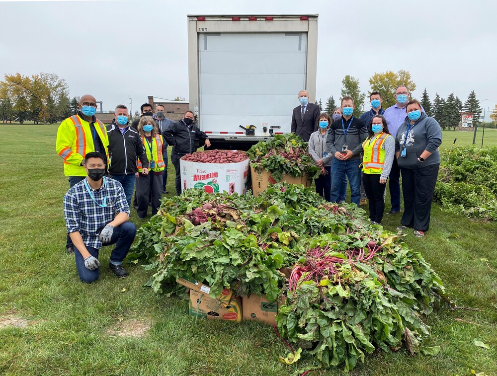WAA and Harvest Manitoba employees pose by boxes of potatoes and beets harvested from the airport Harvest Garden.